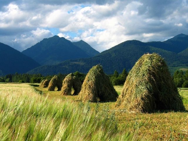 tatry