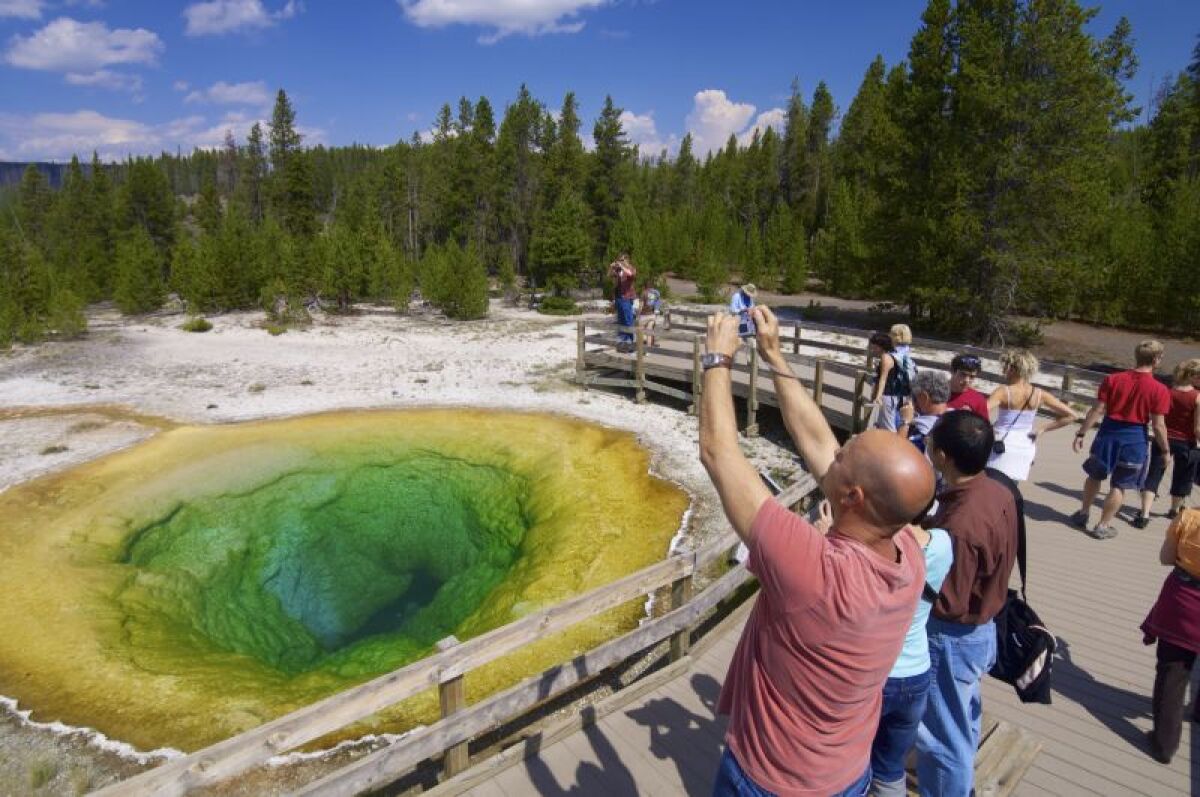 Yellowstone, morning glory