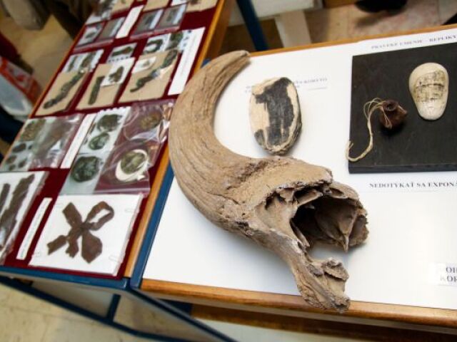 mamut, archeológovia