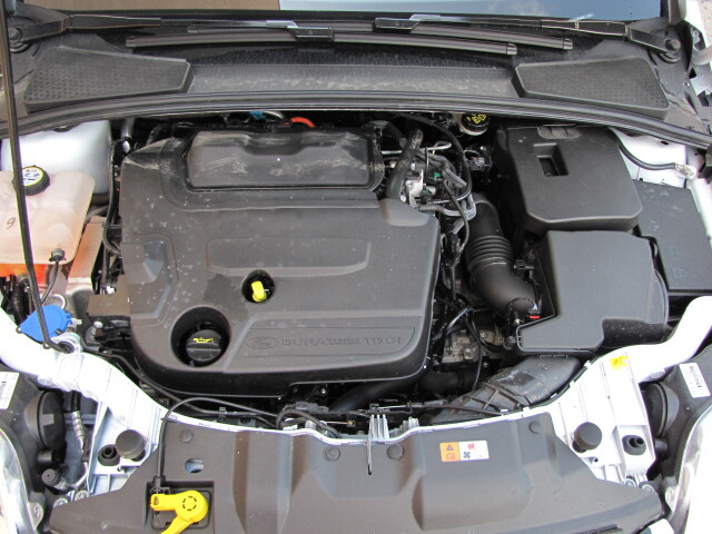 V motore 2.0 TDCi koluje 5,7 l motorového oleja viskozitnej triedy 5W-30. Menší motor 1.6 TDCi používa len 3,8 l motorového oleja. Regeneráciu časticového filtra rieši Ford piatym vstrekovačom ústiacim za motorom priamo do výfukového potrubia (nafta slúžiaca na vypaľovanie filtra tak vôbec neprechádza valcami).
