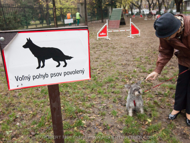 psi park polna ulica, pes, venčenie, detské ihrisko