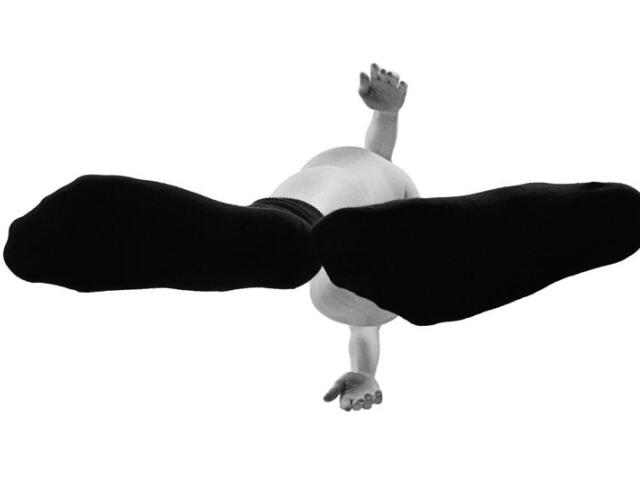 web ZENA