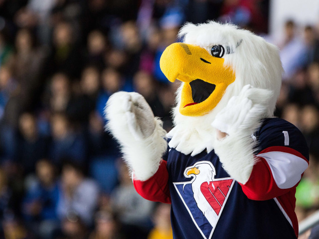 Slovan, harvey, maskot