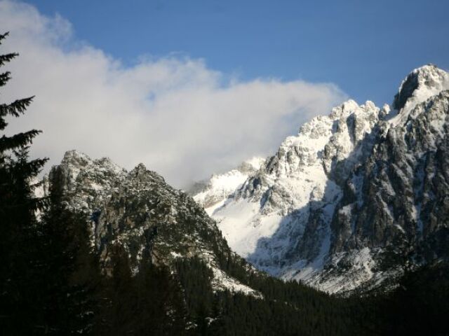 Vysoké Tatry, hory, les