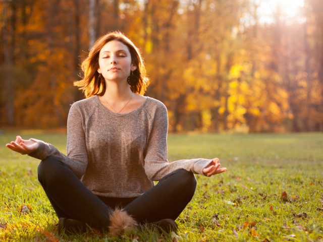 meditácia, lúka, les, relax