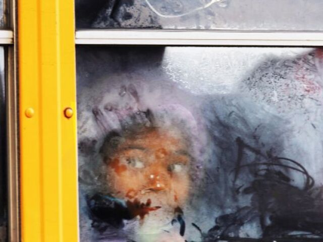 mráz, ľad, študent, sneh, autobus, počasie