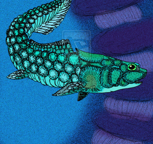 Romundina, ryba