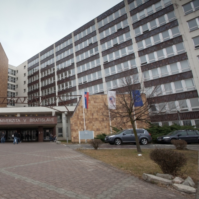 Ekonomická univerzita, vysoká škola,
