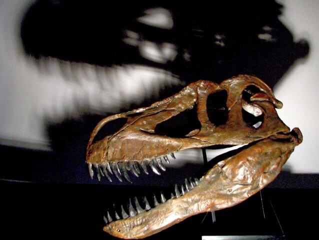 dinosaurus, Torvosaurus