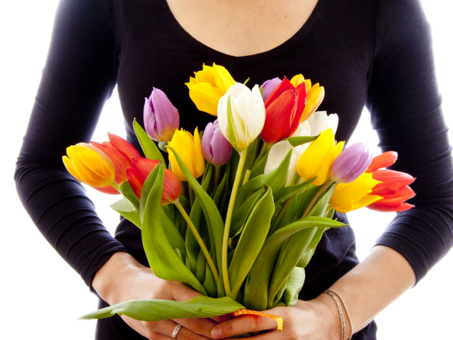 MDŽ - tulipány - kvetiny