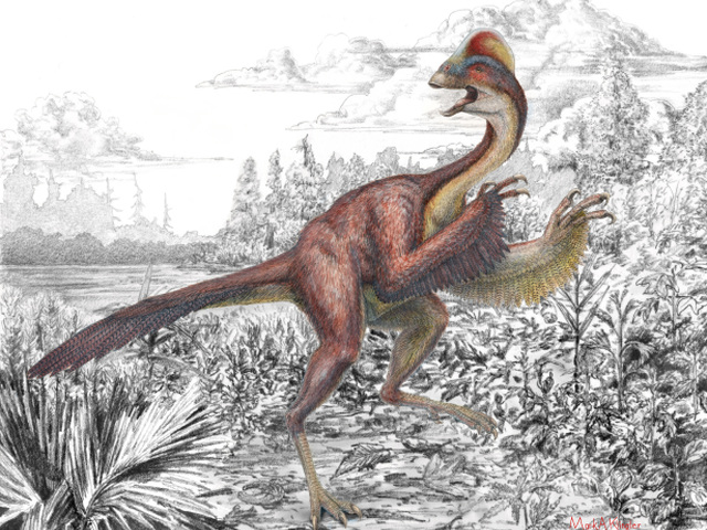 dinosaurus,