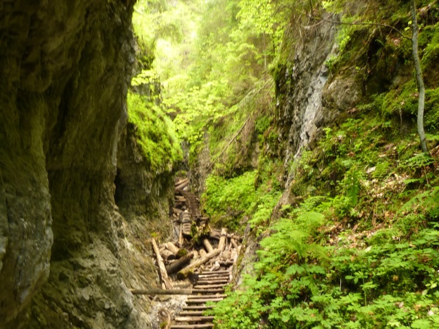 Slovenský raj