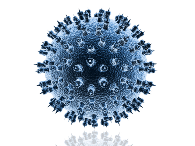 vírus, herpes
