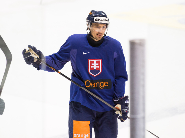 Miroslav Šatan