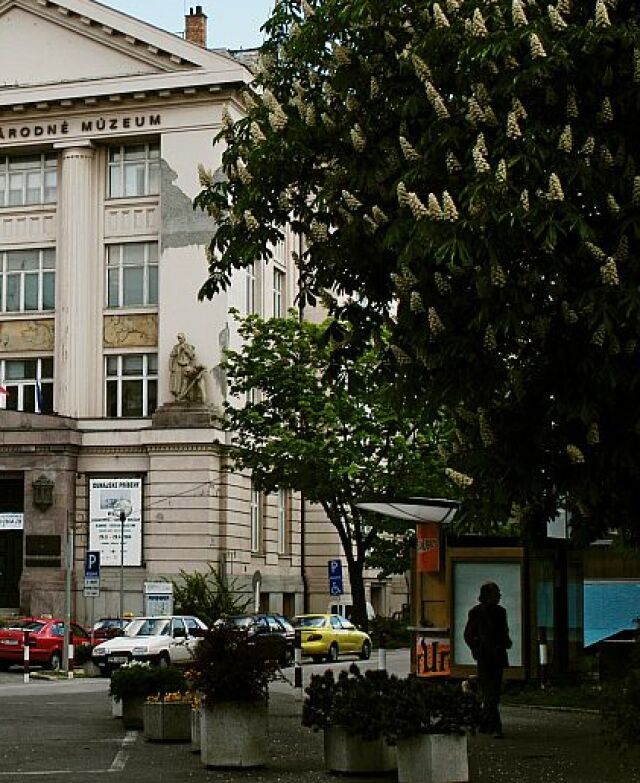 Slovenské národné múzeum