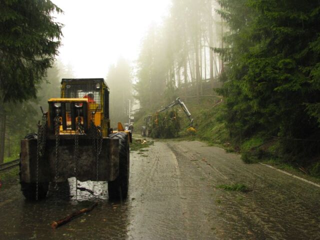 Tatry, Cesta slobody, stromy, kalamita