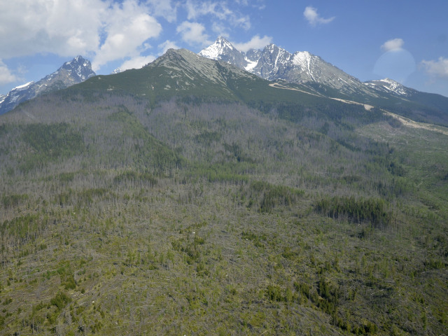 Vysoké Tatry, kalamita