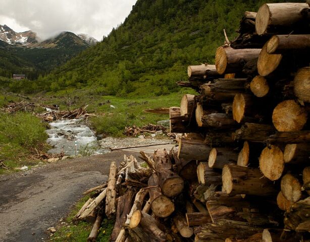Tatry, kalamita,
