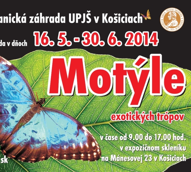 motýle, plagát, výstava motýľov