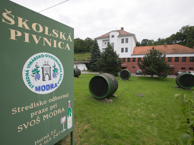 Modra, vinárska a ovocinárska škola