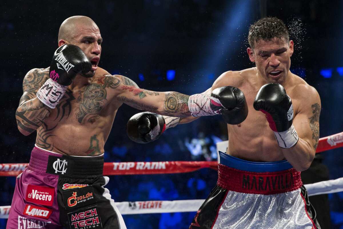 Miguel Cotto, Sergio Martínez