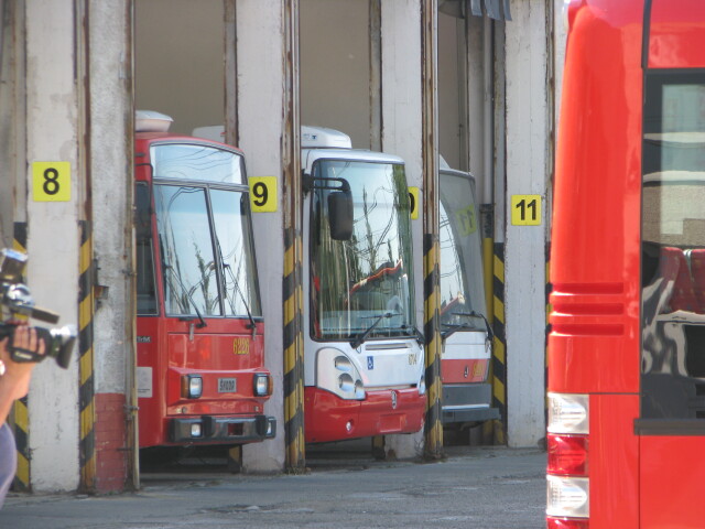 MHD, nové trolejbusy, Bratislava, trolejbus, DPB