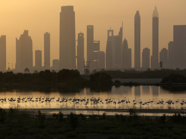 Dubaj, plameniak