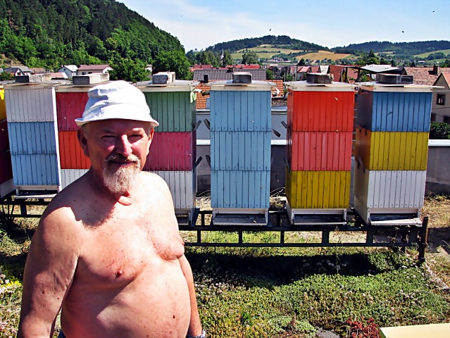 včely, úľ, Miroslav Minjarík