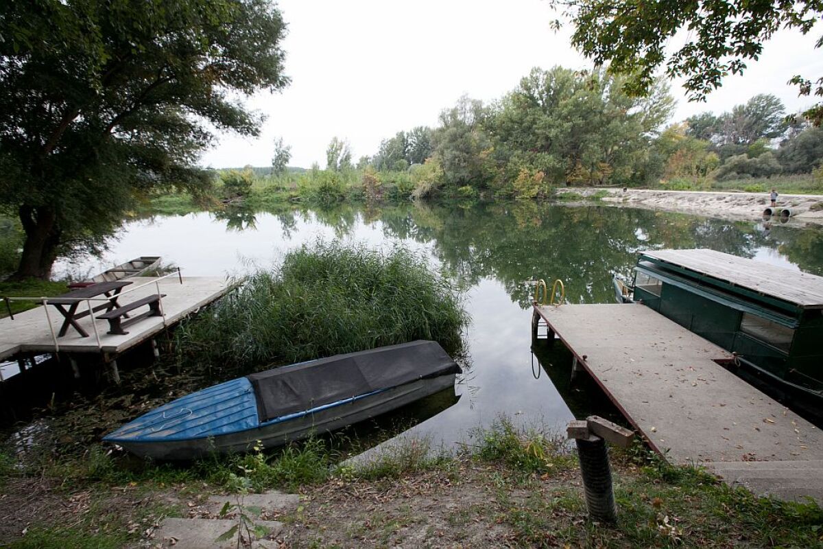 Dunaj, Dunajské luhy, voda, Viedeň, Bratislava, Budapešť, živočíchy