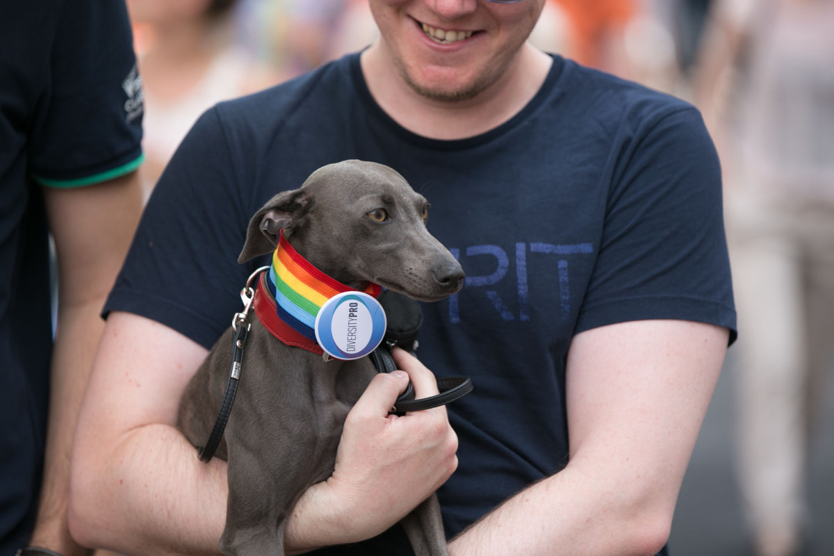 Duhový pochod, pride