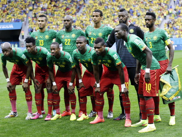 Kamerun, MS 2014, futbal