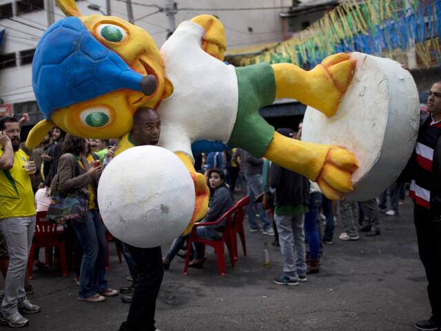 Fuleco, Brazília
