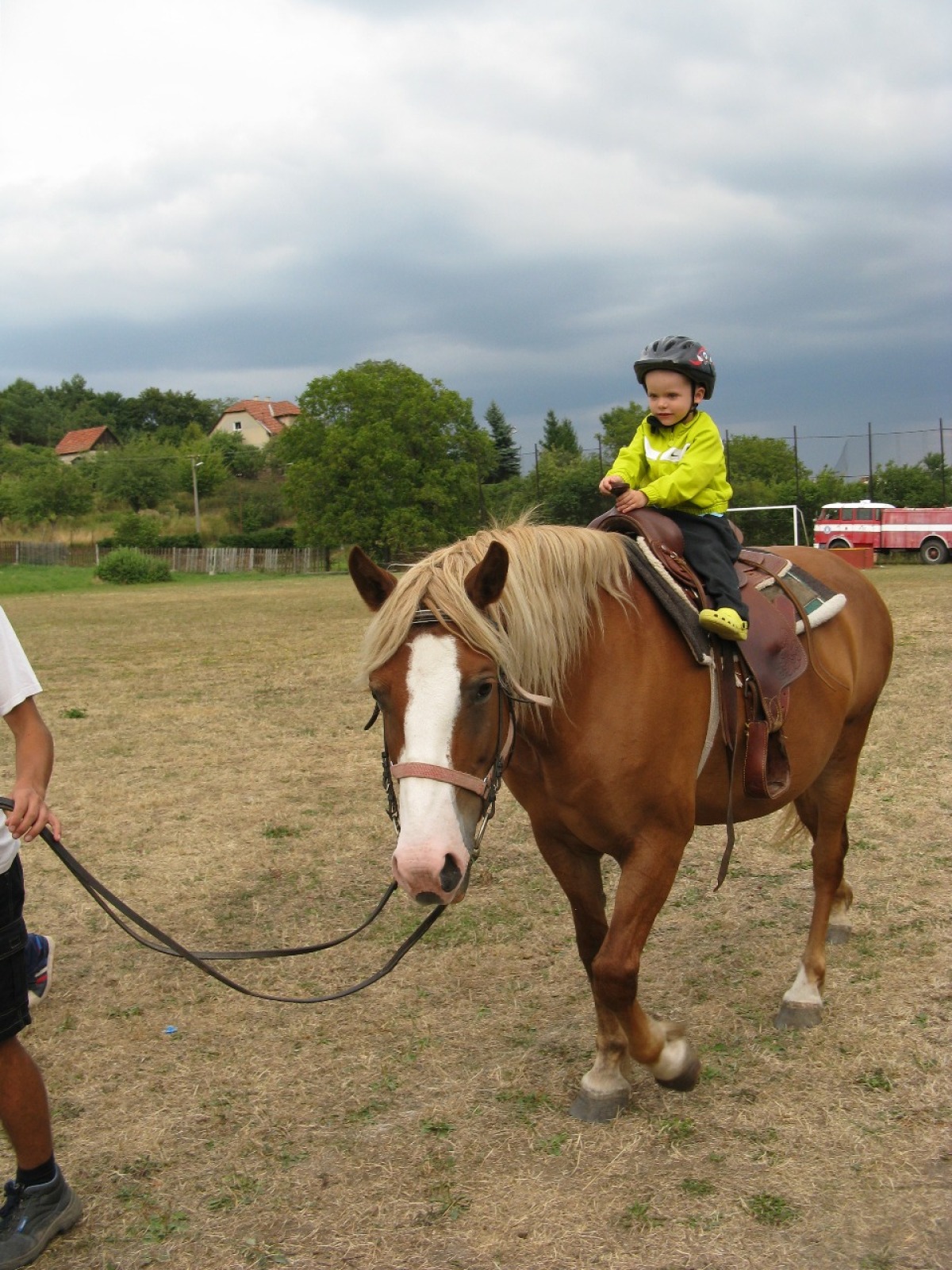 konik 1_inzercia