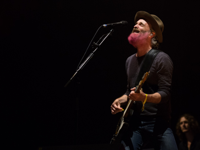 POHODA 2014: Travis