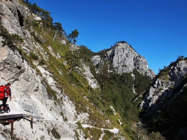 Oetschergraben, Mostviertel, Alpy