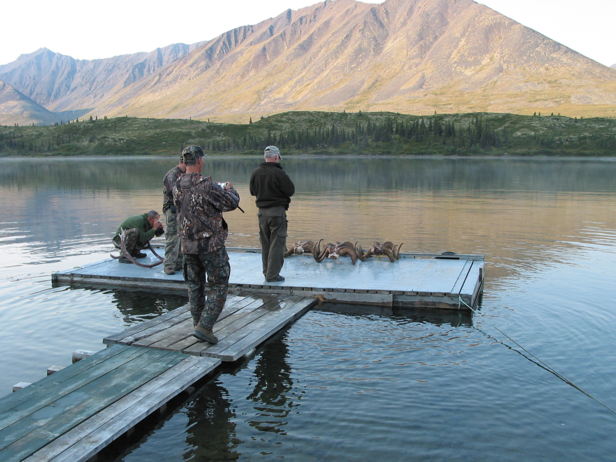 yukon, lovci, kanada, rieka, rybári,