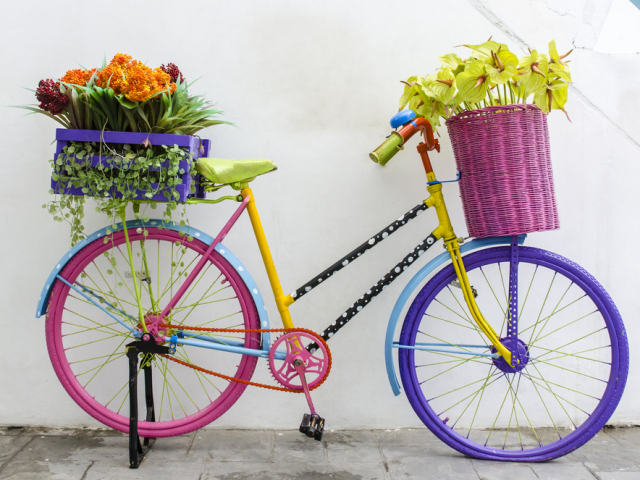 bicykel