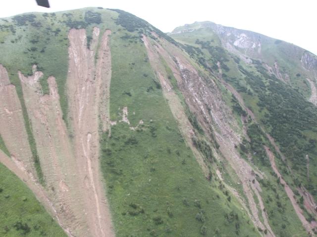 Vrátna