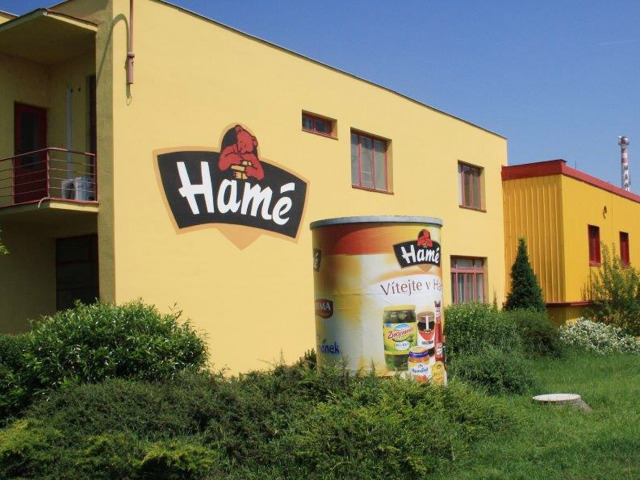 Hamé, Česko