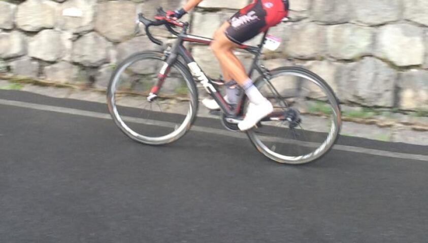 Peter Velits