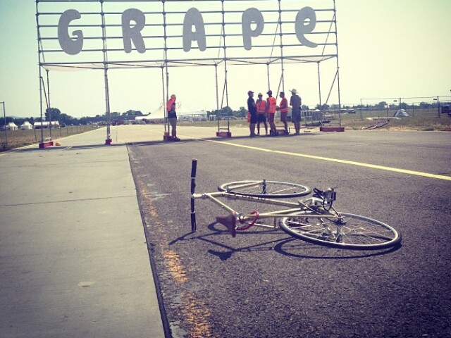 33 grape