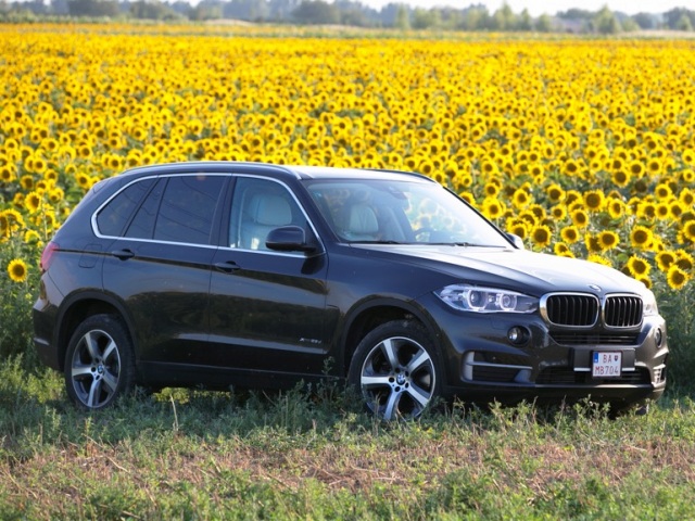 BMW X5 xDrive25d - 2014