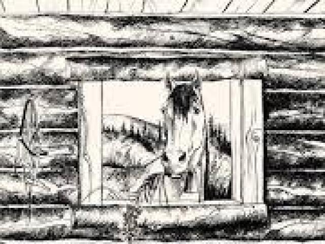 vik-anotka SOS
