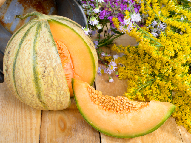 melón, dyňa, zelenina, výživa