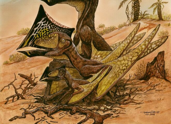 pterosaurus, vtákojašter, dinosaurus