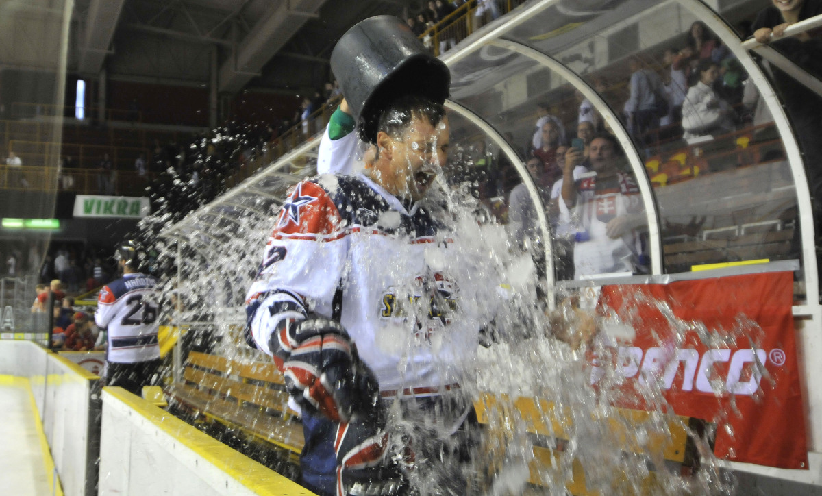 Pavol Demitra, Slovak Stars, St. Louis Blues Alumni
