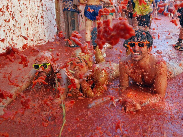paradajky, Tomatina
