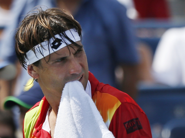 David Ferrer