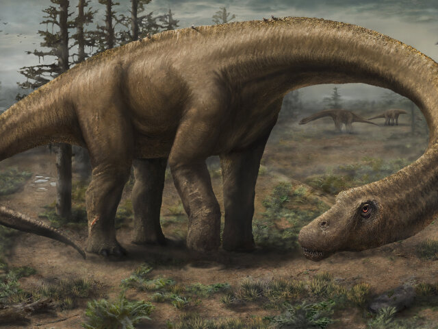 Dinosaurus dreadnoughtnus schrani objavený v Argentíne