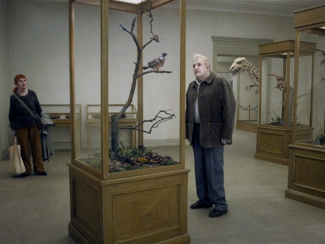 A pigeon sat on a branch reflecting the existence, film
